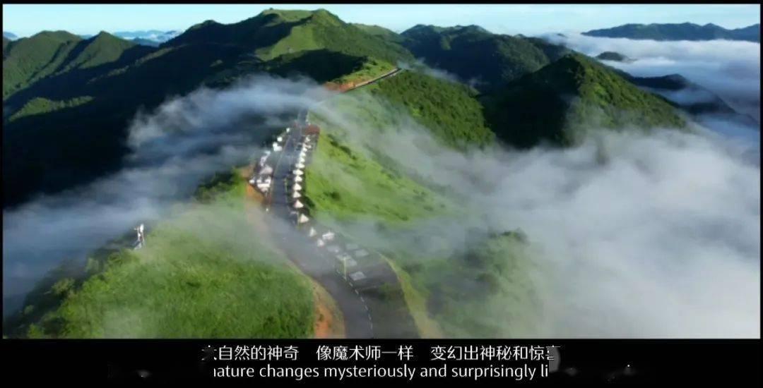 行业ETF风向标丨市值管理将纳入考核,央企ETF今日集体大涨