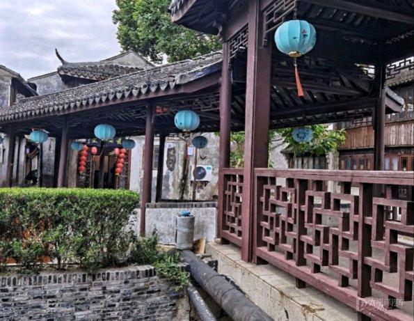 饥饿的哈利